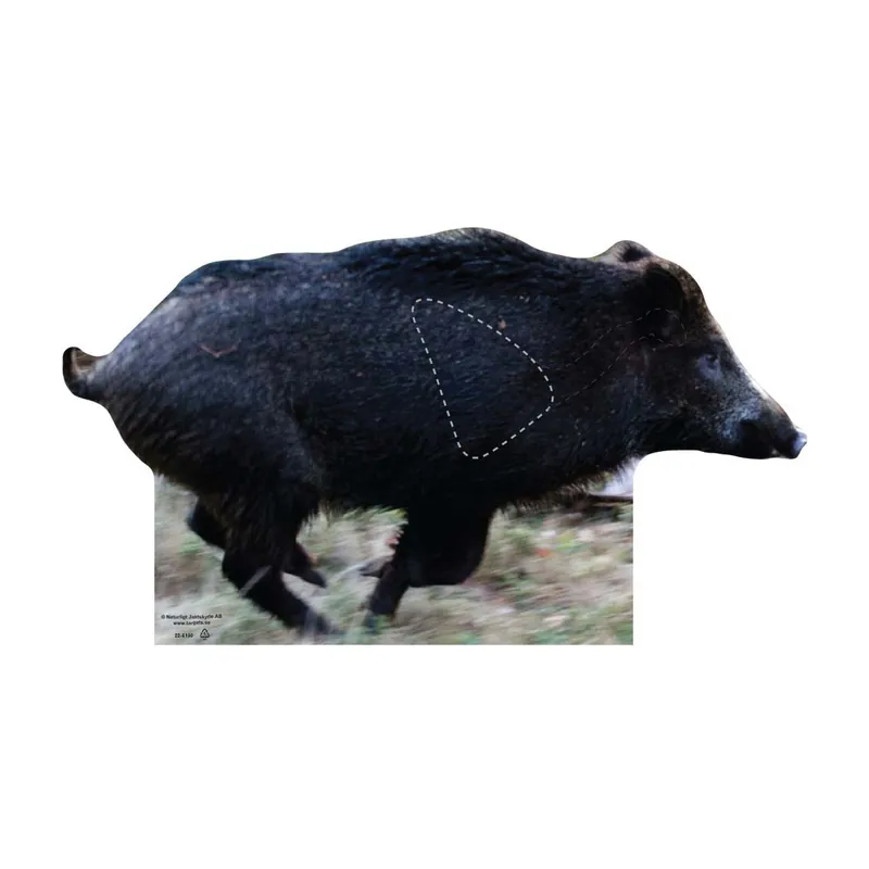 22 Skjutmål Vildsvin - Kanonerbjudande